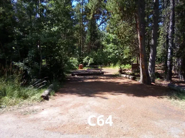 64