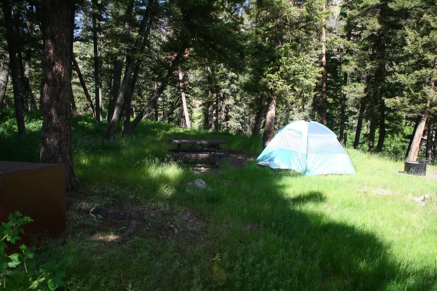 Slough Creek site #13