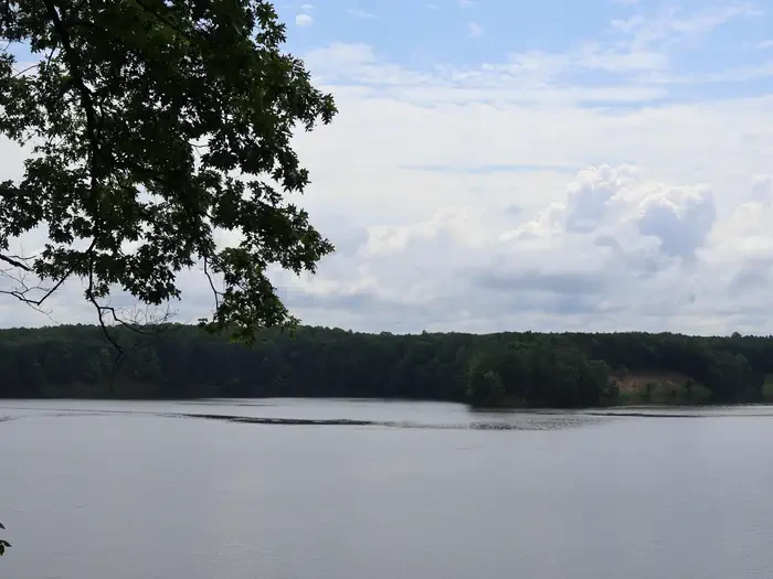 Upper Manistee River Backcountry Campsites