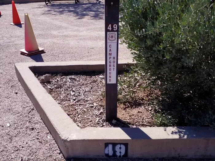 49