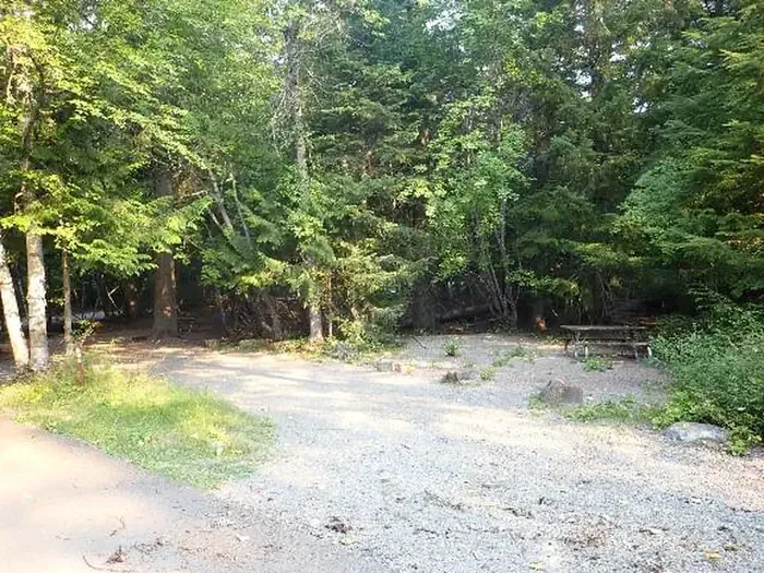 B85