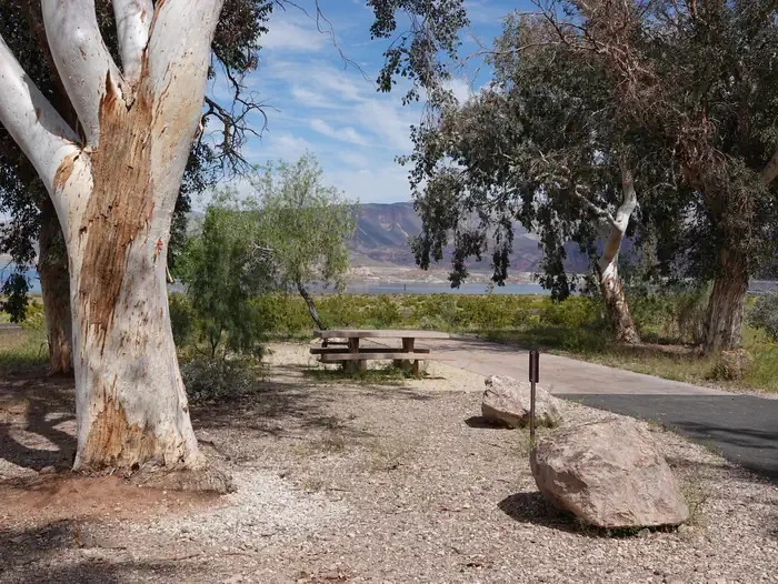Site 87