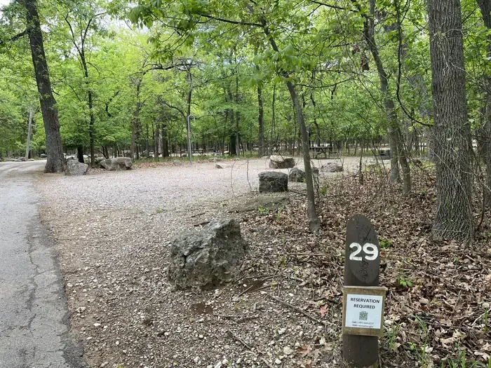 29