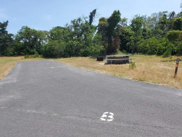 A08