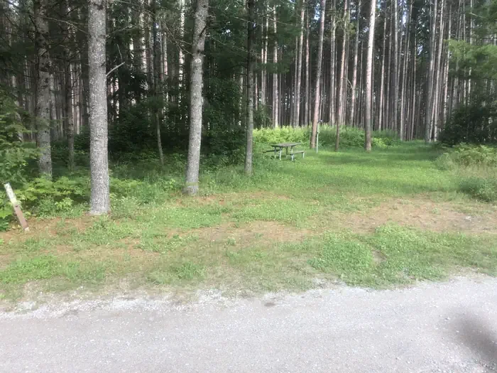 South Branch Trail Camp Group Site
