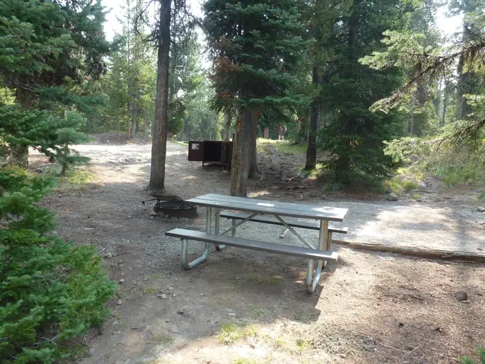 Lewis Lake site #61