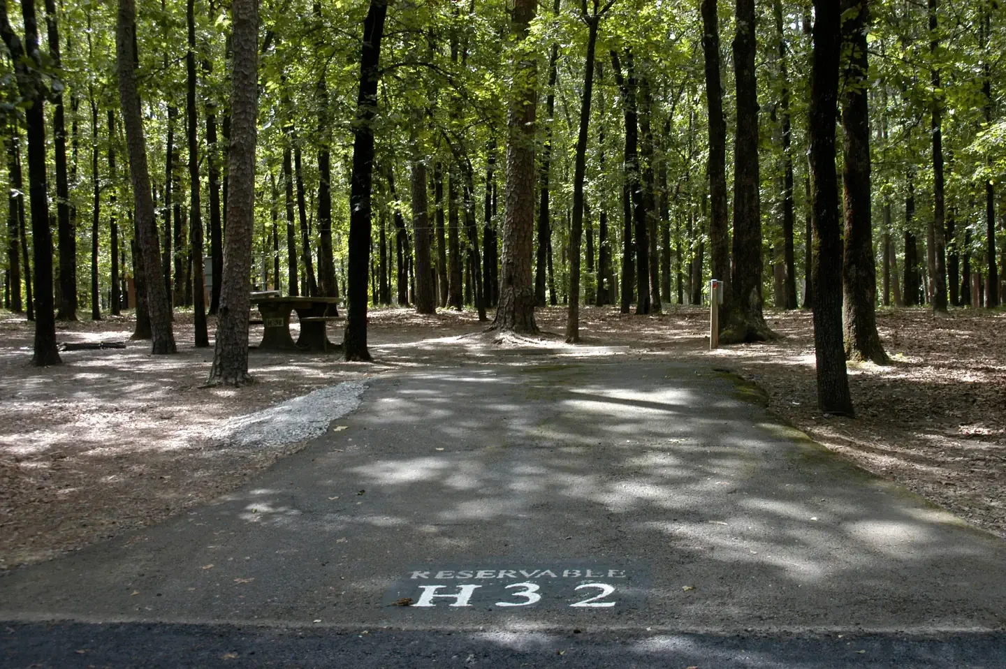 H32