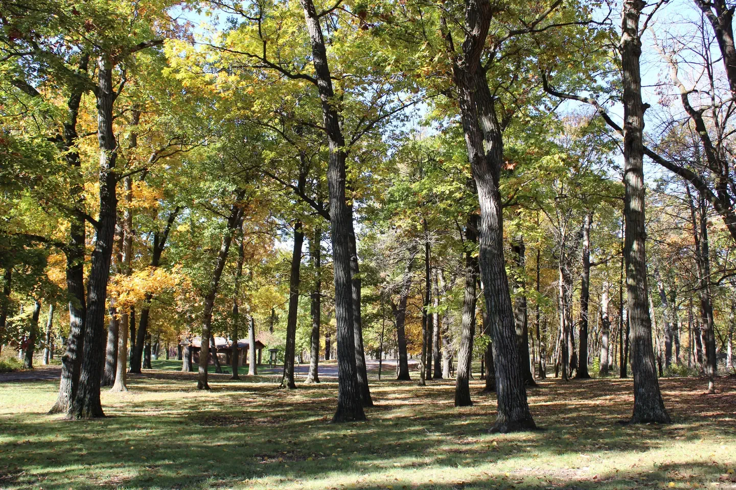 Oak Grove Picnic Area