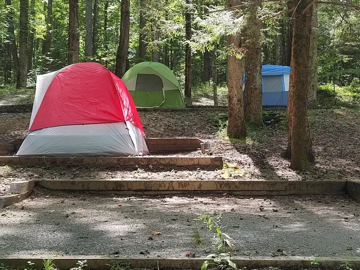 Cosby Group Camp