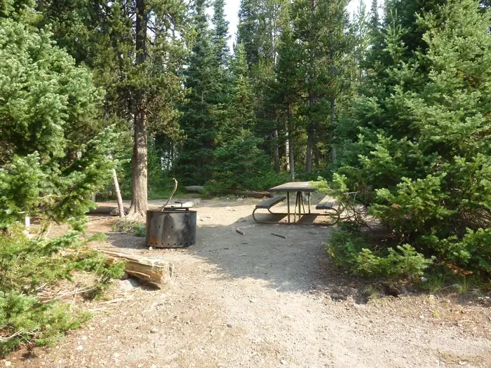 Lewis Lake site #12