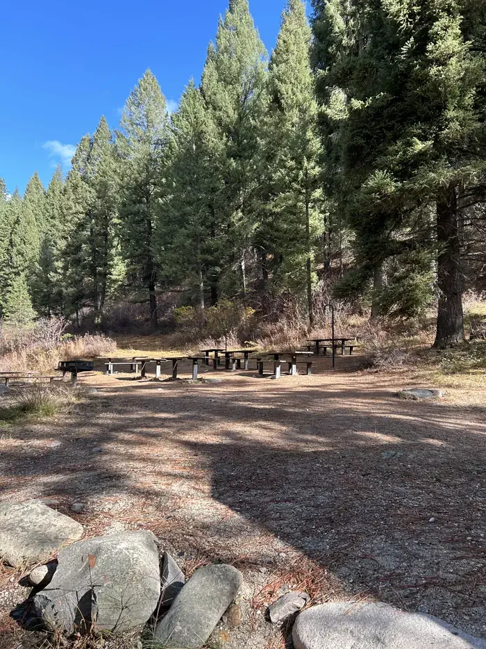 Hayfork Group Cg