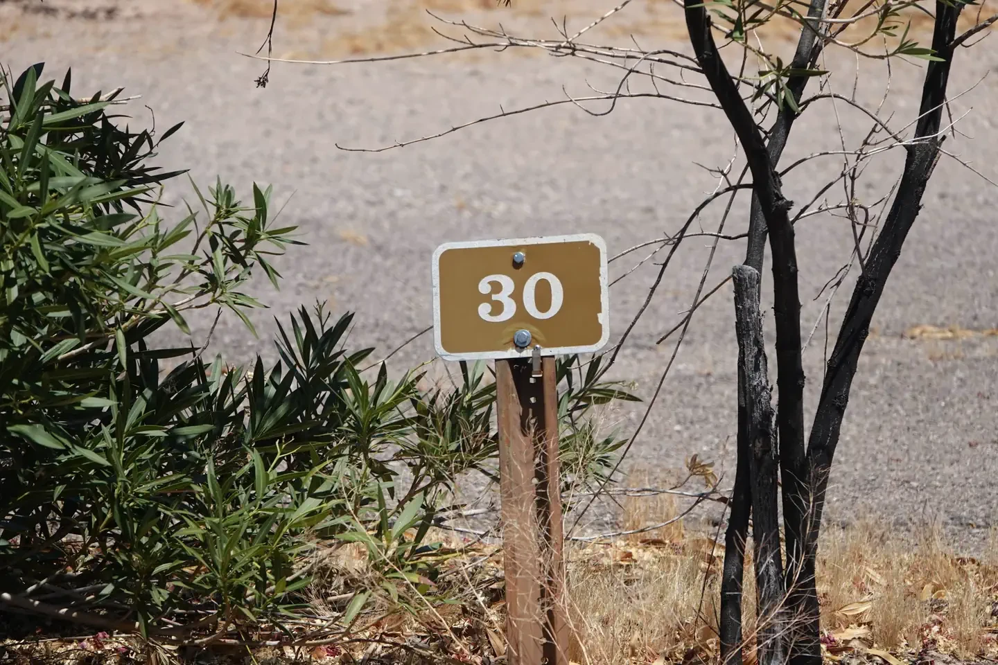 Site 30