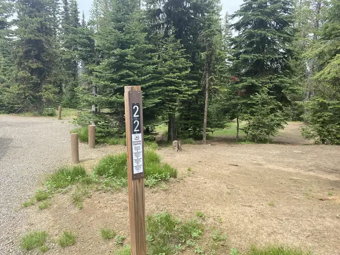 22