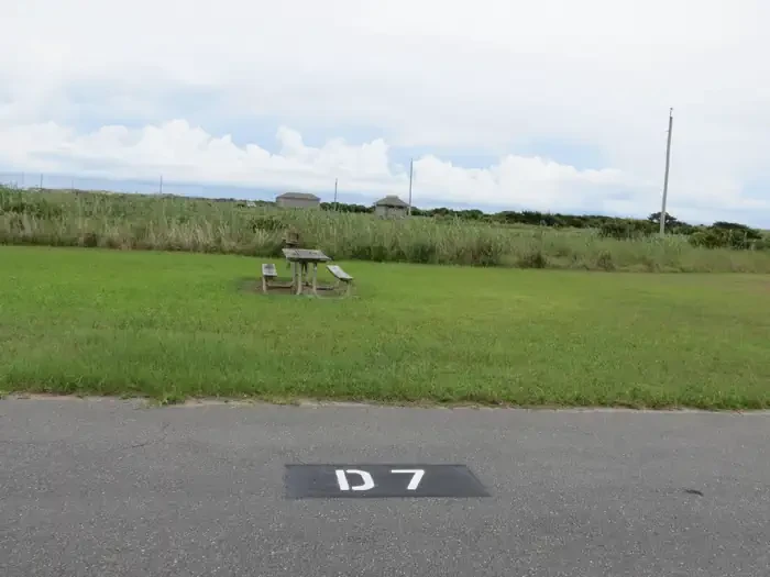 D007