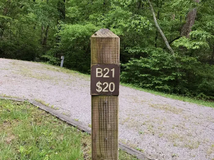 21