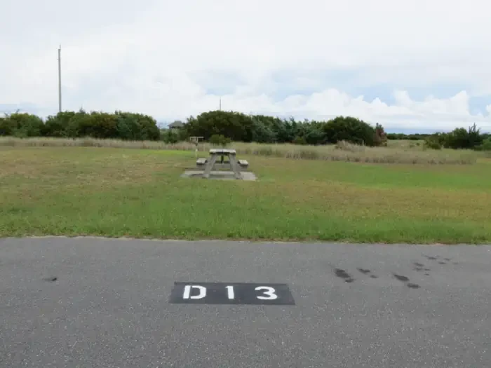 D013