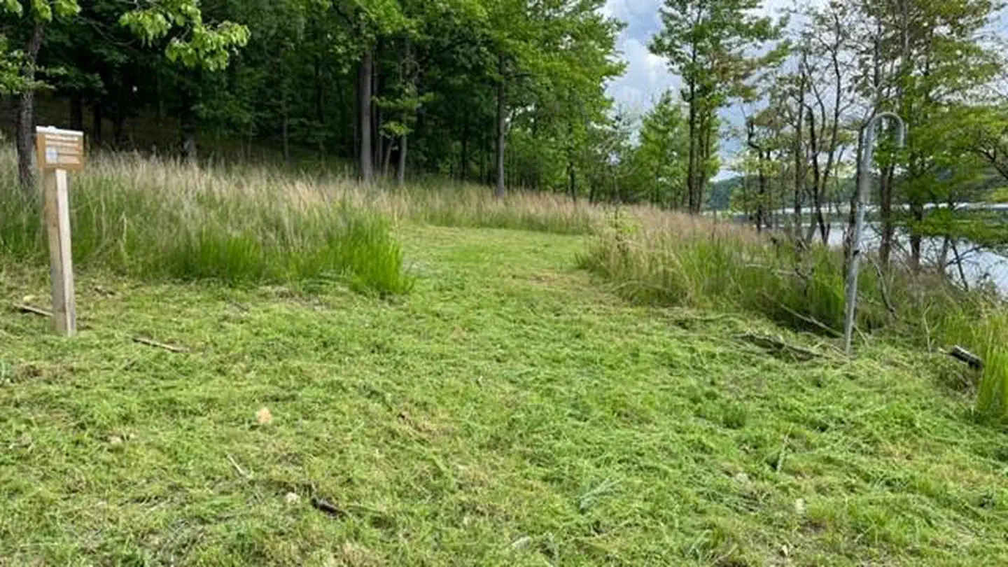 Island Site 06