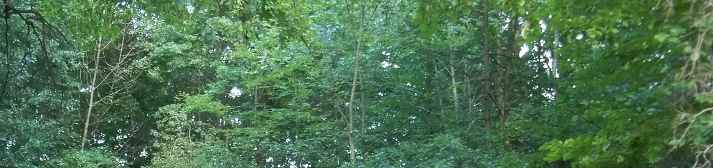 H10
