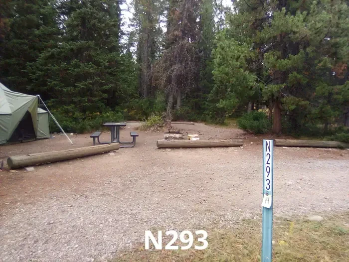 293