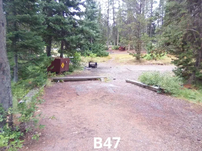 47