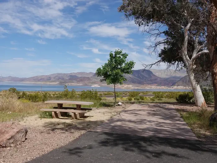 Site 85