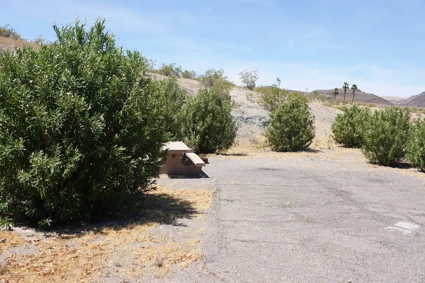 Site 7