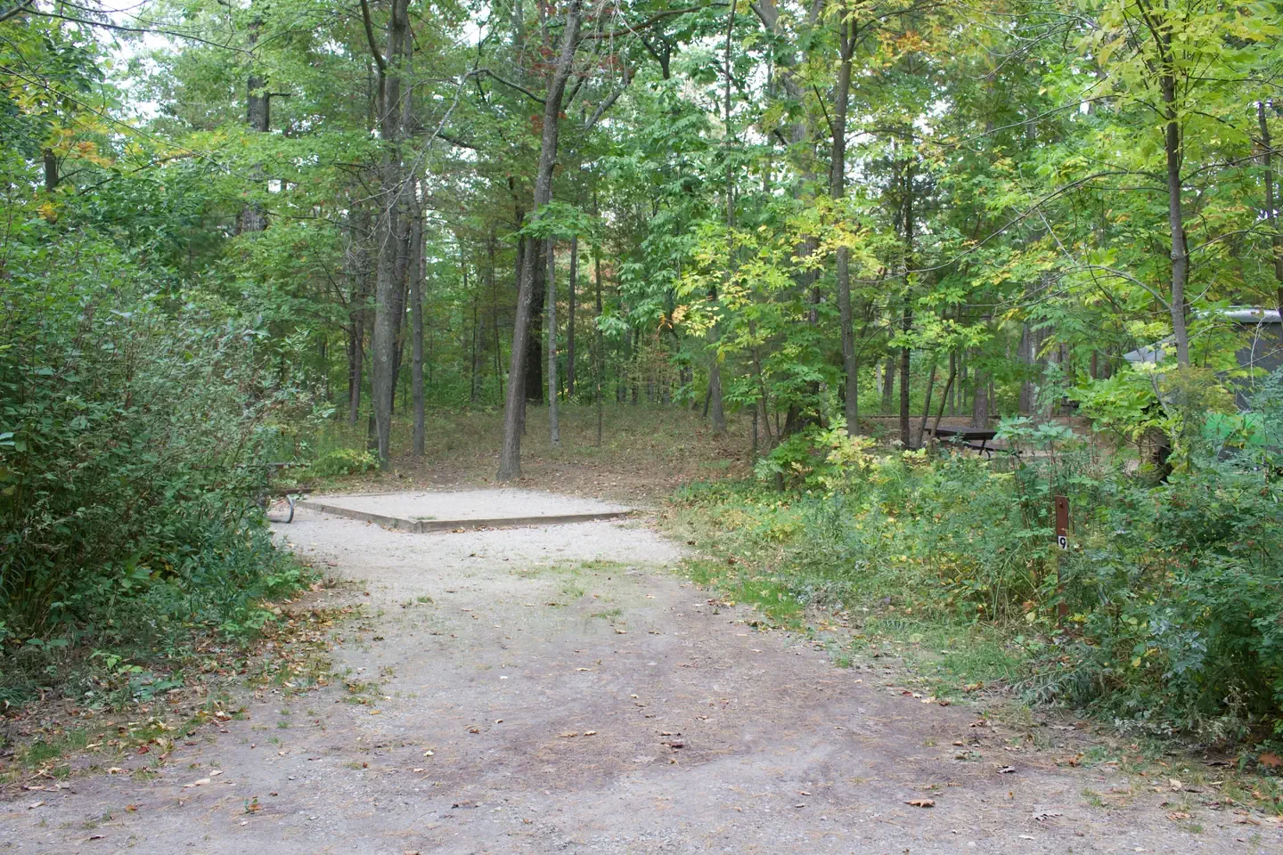 09