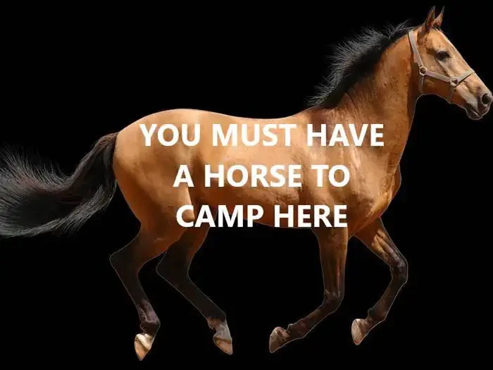 HORSE #2 (HORSES ARE MANDATORY)