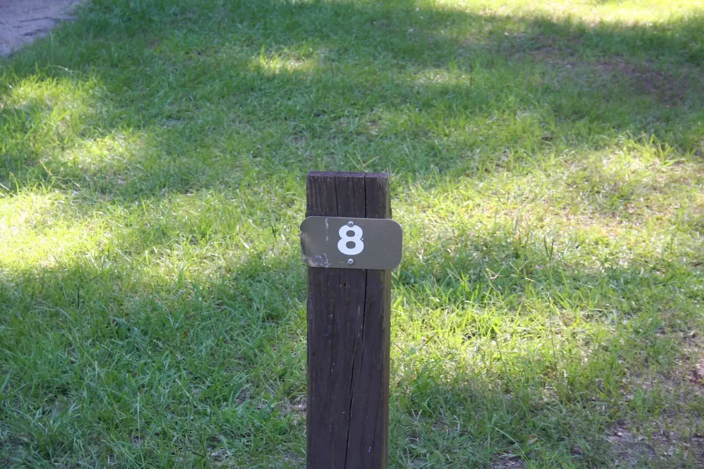 008