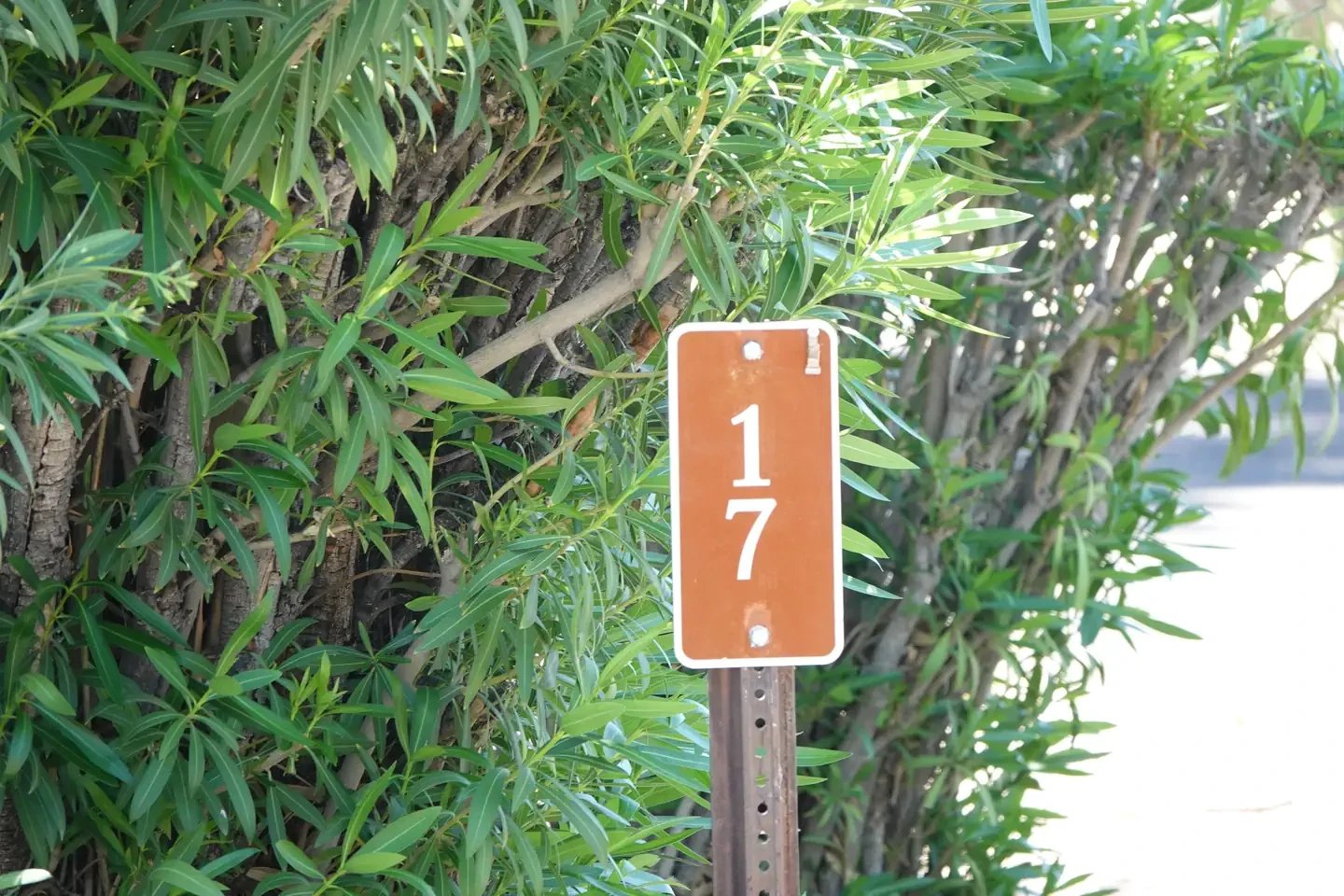 Site 17