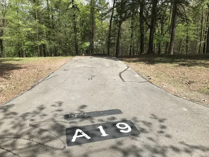 A19