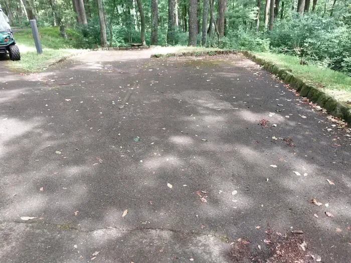 T12