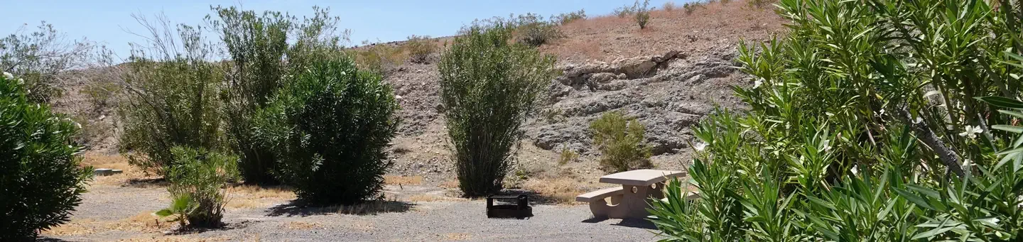 Site 11
