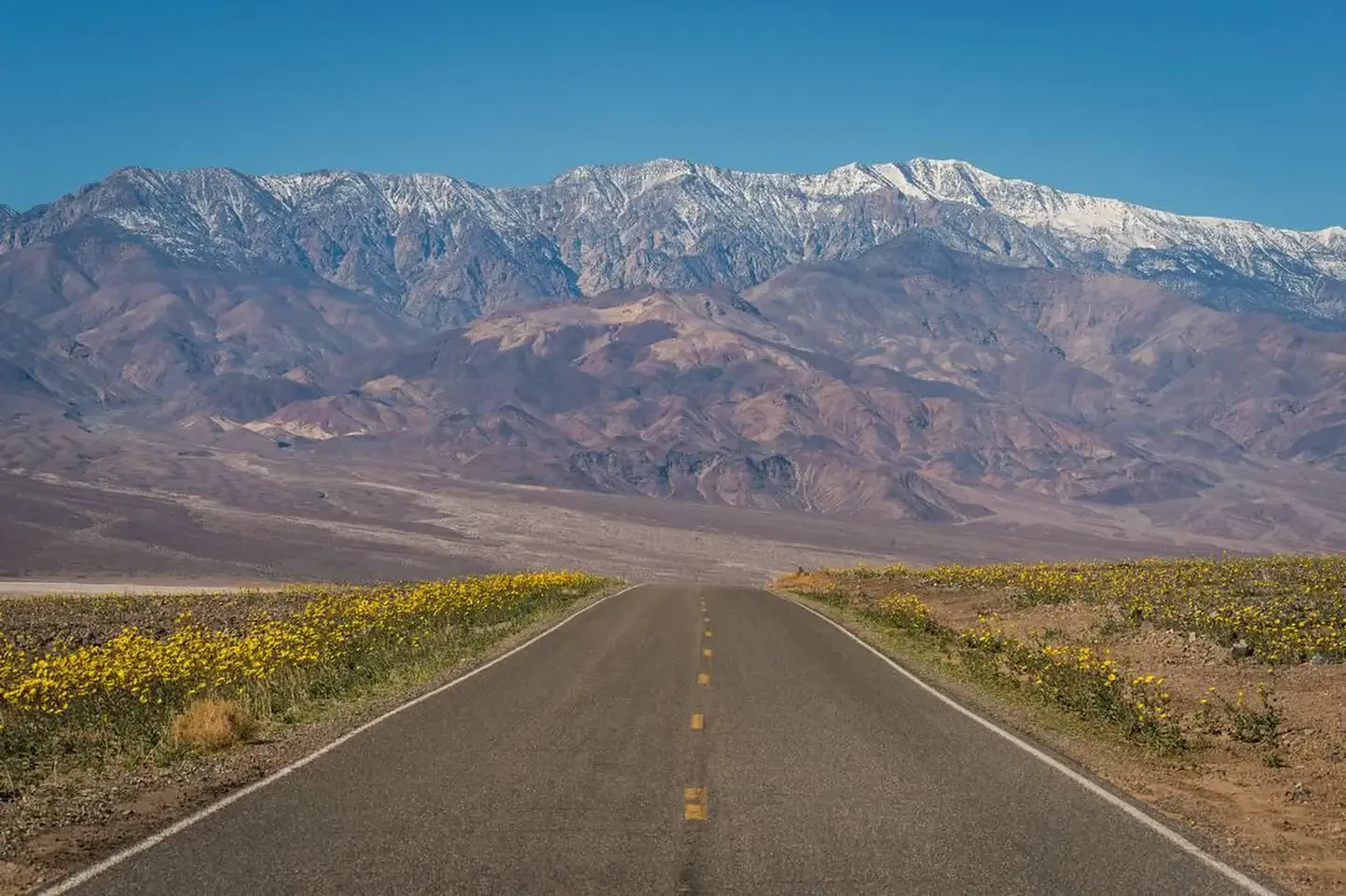 Furnace Creek Campground
