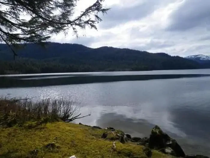Virginia Lake Cabin