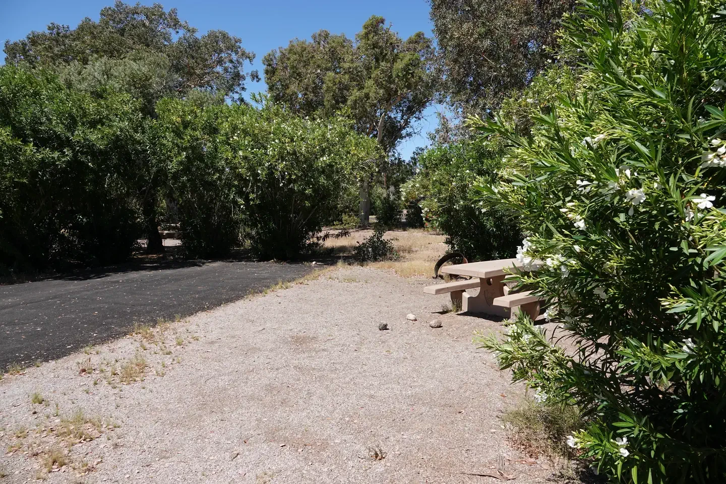 Site 29