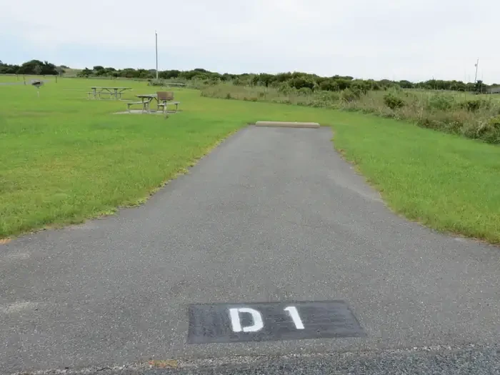 D001