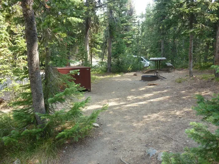 Lewis Lake site #63