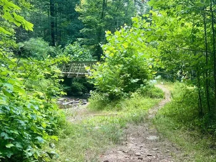 Basin Cove Backcountry Camping