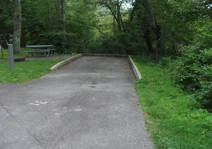 A31