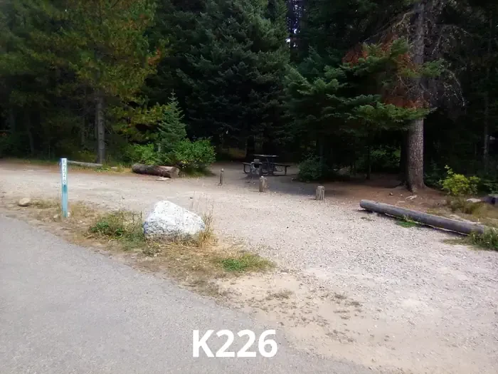 226