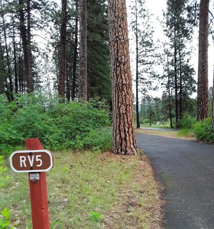 Sloway Campground (MT)