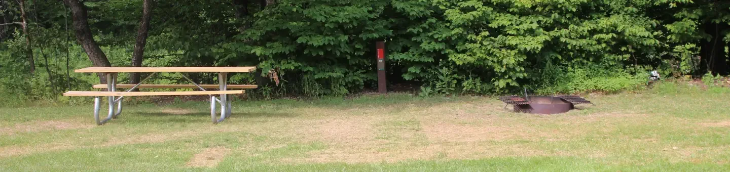 S37