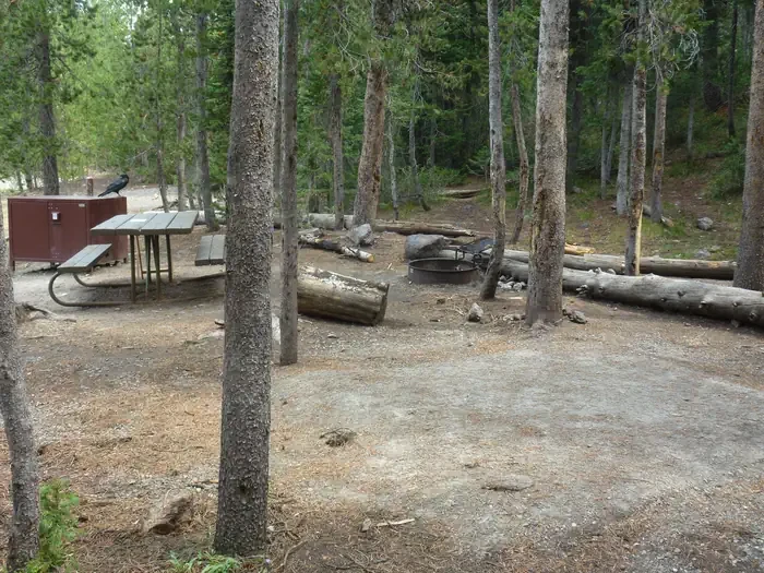 Lewis Lake site #17