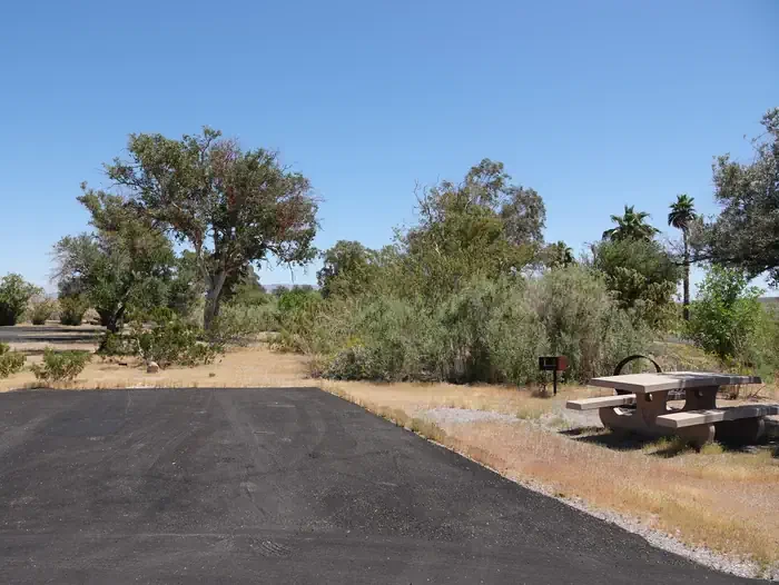 Site 55