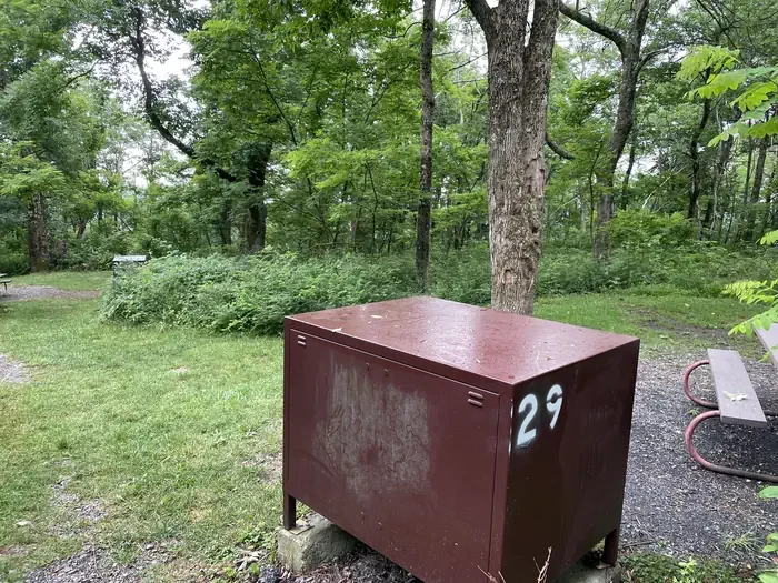 029
