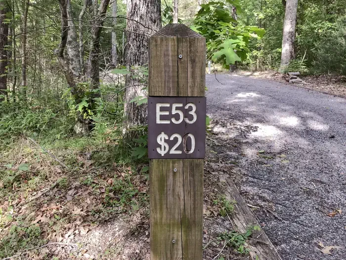 53