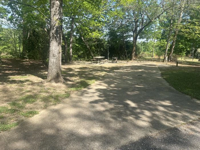 Site 31