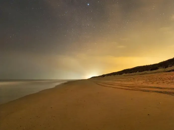 Canaveral National Seashore Turtle Watch Tours