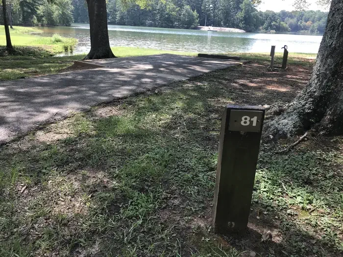 81